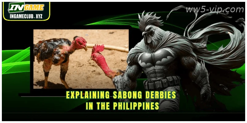 Understanding live Sabong betting for Indian punters