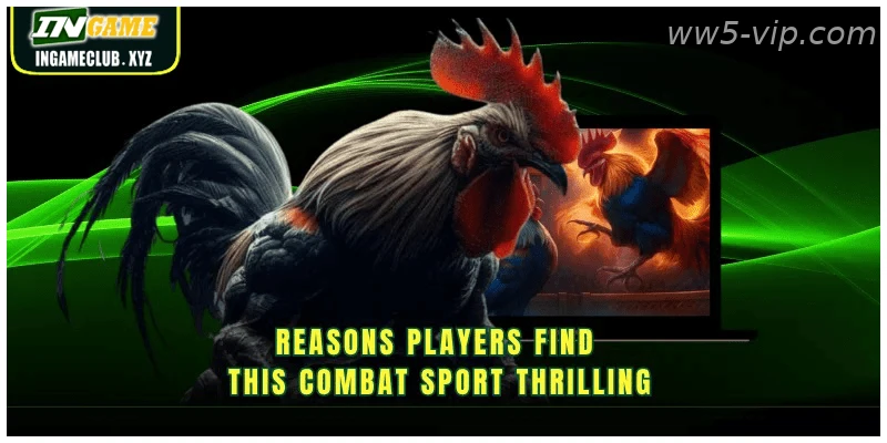 Why Indian players prefer WW5 live Sabong