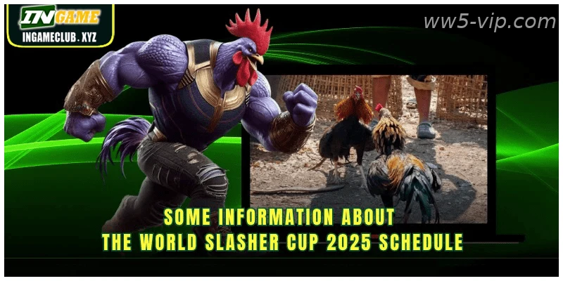 Some information about the World Slasher Cup 2026 schedule