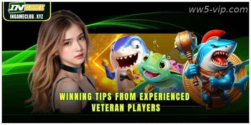 Winning tips from experienced veteran players