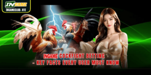WW5 Cockfight Betting – Key Facts Every User Must Know