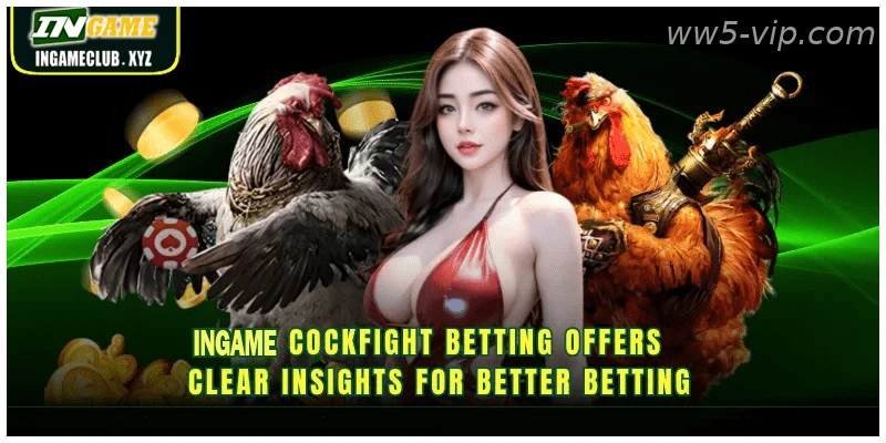 WW5 cockfight betting offers clear insights for better betting